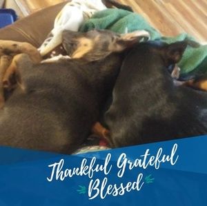 Meet your Posher, Terry